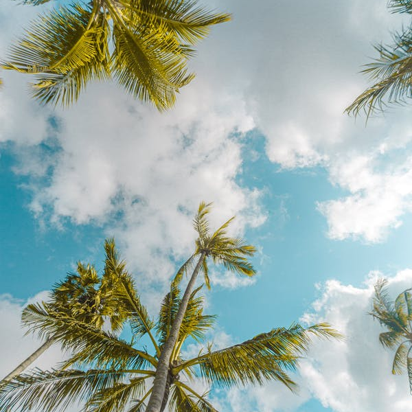 Bali Indonesia🇮🇩 4N5D